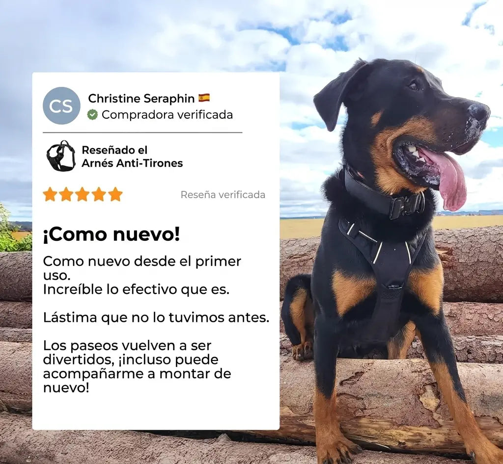 PaseoFeliz™ - Arnés antitirones