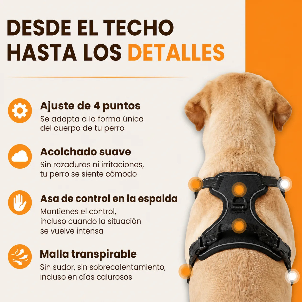 PaseoFeliz™ - Arnés antitirones